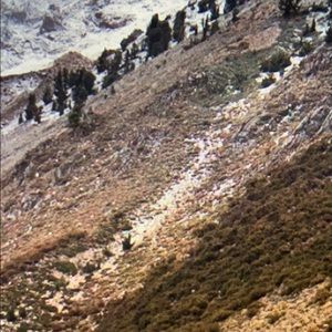 Meet your Posher, Erica